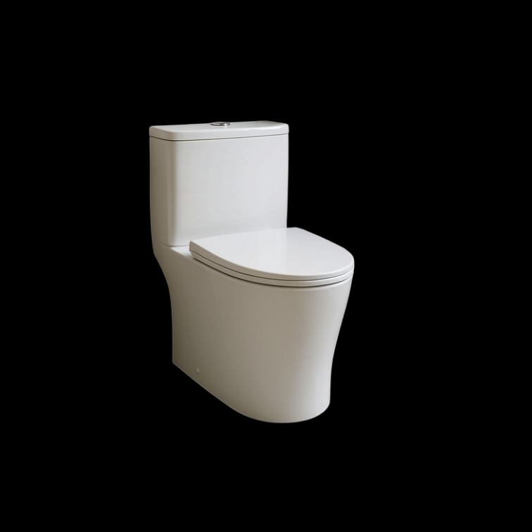 ST 2107 One Piece Water Closet
