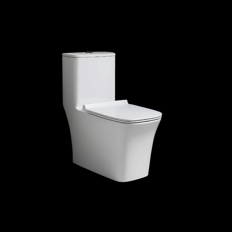 ST 2113 One Piece Water Closet