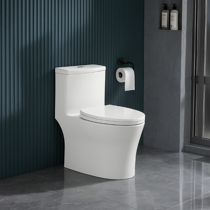 ST 2167 One Piece Water Closet